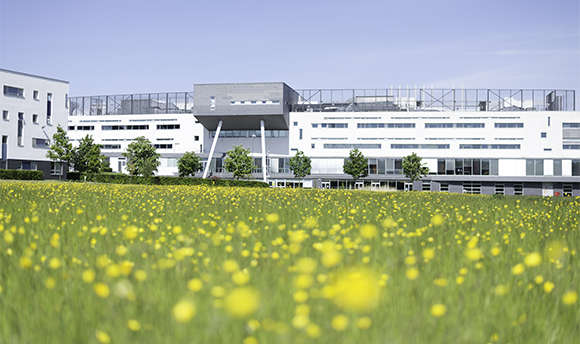 A low angle image of Ƶ Campus with flowers in the foreground